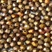 Czech Beads