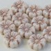 Czech Beads