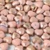 Czech Beads