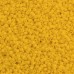 Glass/Seed Beads