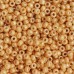 Toho Round Glass/Seed Beads 8/0