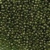 Glass/Seed Beads