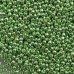 Glass/Seed Beads