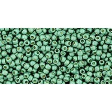 Toho Round Glass/Seed Bead 11/0 #561F