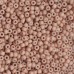 Glass/Seed Beads
