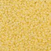 Glass/Seed Beads