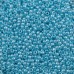 Glass/Seed Beads