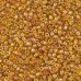 Toho Round Glass/Seed Beads 8/0