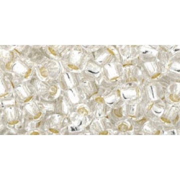 Toho Round Glass/Seed Bead 6/0 #21