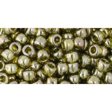 Toho Round Glass/Seed Bead 6/0 #457