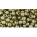 Toho Round Glass/Seed Beads 6/0