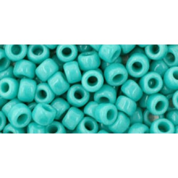 Toho Round Glass/Seed Bead 6/0 #55