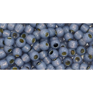 Toho Round Glass/Seed Bead 6/0 #PF2102