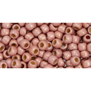 Toho Round Glass/Seed Bead 6/0 #PF552F