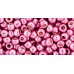 Toho Round Glass/Seed Beads 6/0