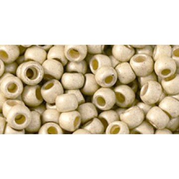 Toho Round Glass/Seed Bead 6/0 #PF558F