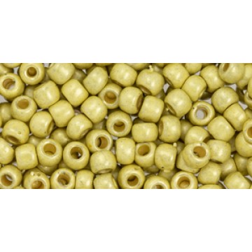 Toho Round Glass/Seed Bead 6/0 #PF559F