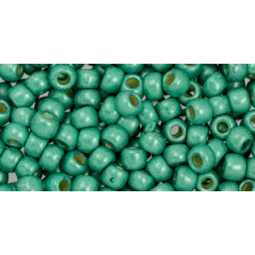 Toho Round Glass/Seed Bead 6/0 #PF561F