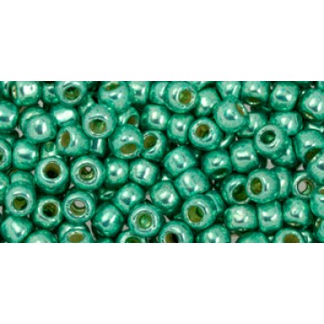 Toho Round Glass/Seed Bead 6/0 #PF561
