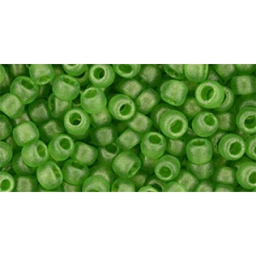 Toho Round Glass/Seed Bead 6/0 #Y629